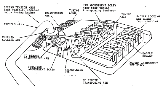 TransTrem diagram for setup and adjustment