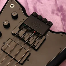 HeadlessUSA Steinberger XP2 N3870