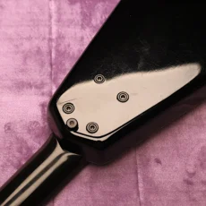 HeadlessUSA Steinberger XP2 N3870