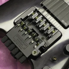 Steinberger GL2T N7183